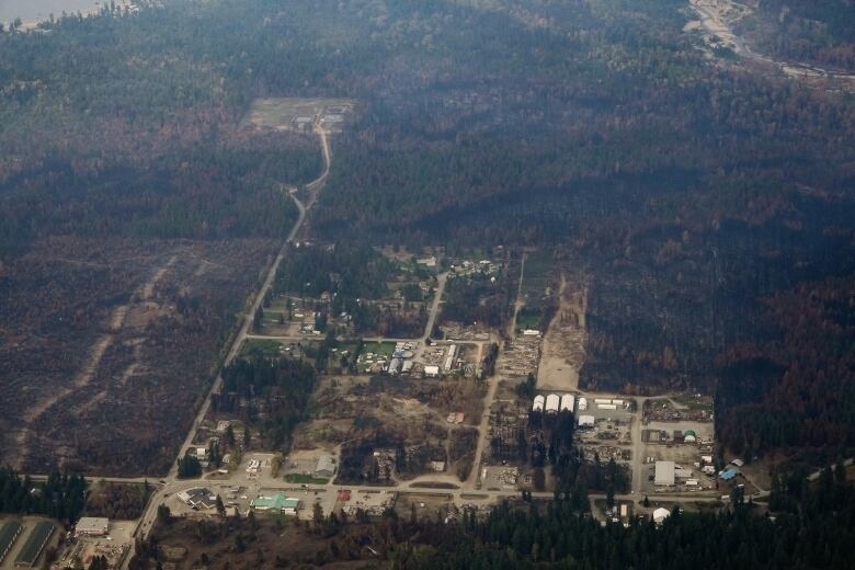 An aerial image shows charred trees and debris in a town.