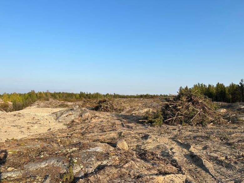 Piles of brush and trees in an otherwise clear cut strip of rocky and sandy land. 