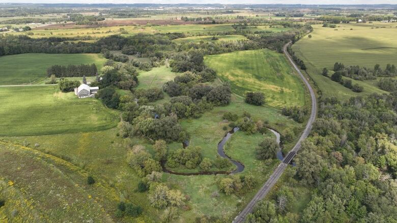 A train line runs through farmer fields forest.