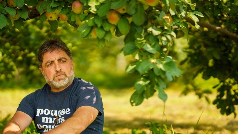 A man with a beard sits in an apple orchard in summer.