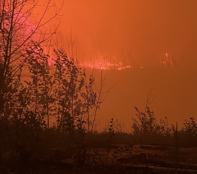 A wildfire is seen from afar, in the dark.