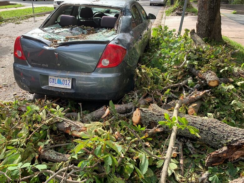 A damaged vehicle parked on a street in Halifax. The glass in the back window has shattered, and there's a dent on the trunk. In the foreground are fallen tree branches. 