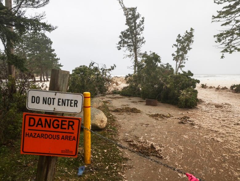 Downed trees and debris at Rissers beach Provincial park.