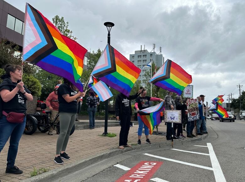 People hold up rainbow flags along a curb, with cars driving down the street and buildings visible in the background.