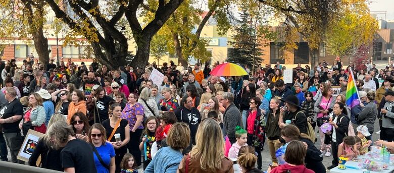 A crowd of people with Pride and Trans flags.