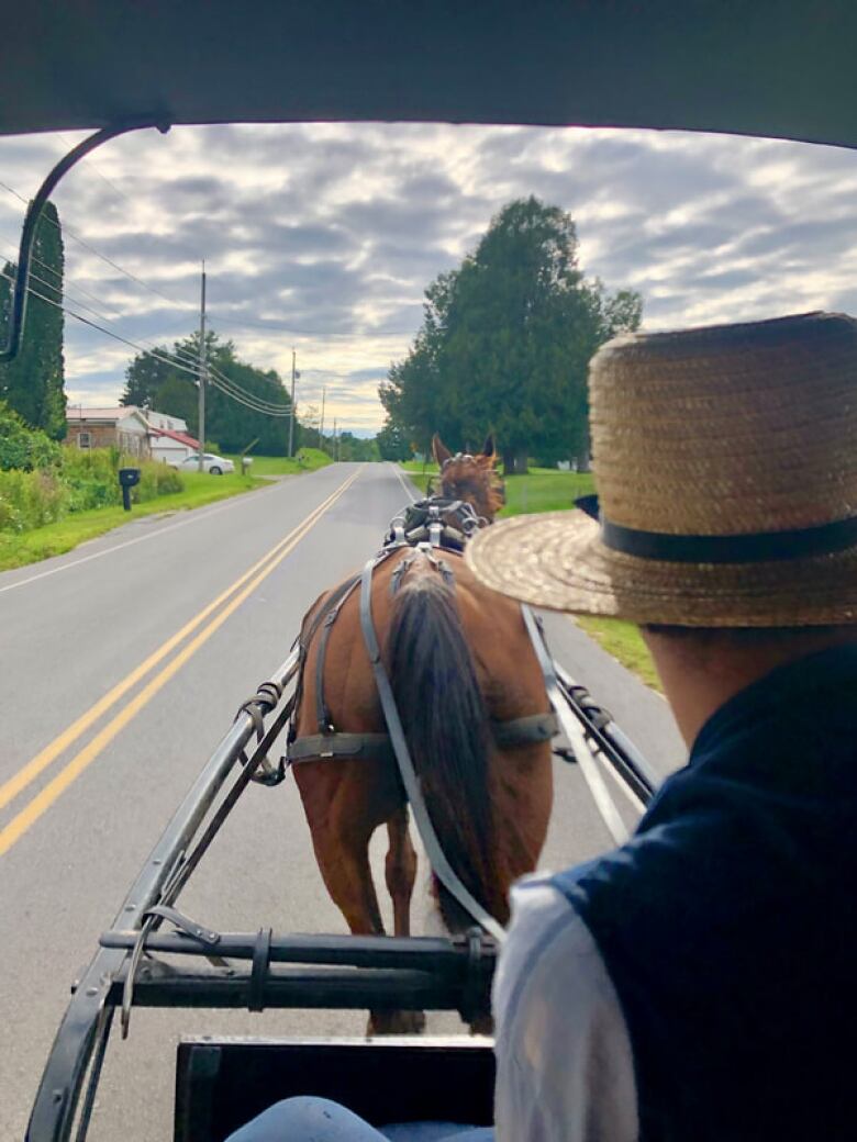 A man rides in a buggy behind a horse.