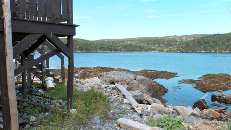 A view of the water's edge from man's backyard showing a falling down patio.