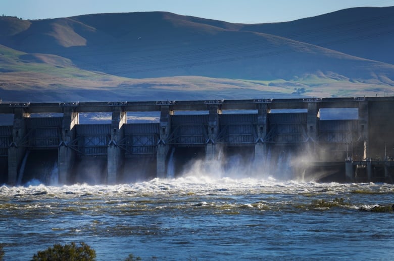 Water flows over a dam.