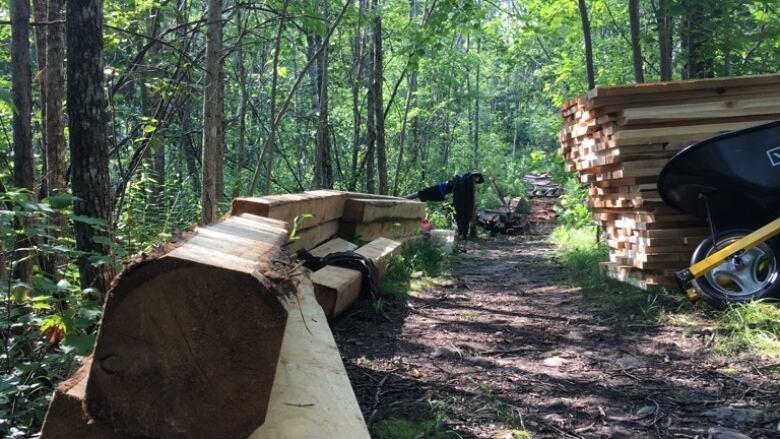 stacks of lumber set in the woods on a trail 