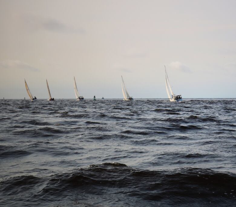 The sails of 5 ships on a gray sea sailing past the buoys at the edge of the Saint John Harbour. 