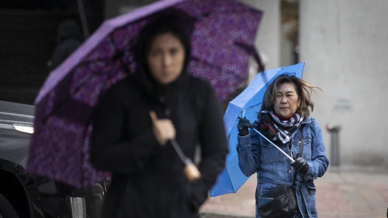 Two pedestrians are shown holding their umbrellas at an angle to protect them from the wind.