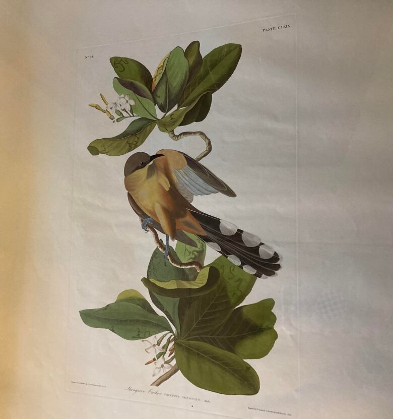 A painting of a bird on a leaf