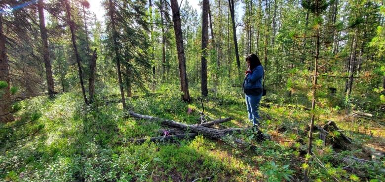 Laurie Strand is standing in the woods, at the spot where Angel Carlick's body was found.