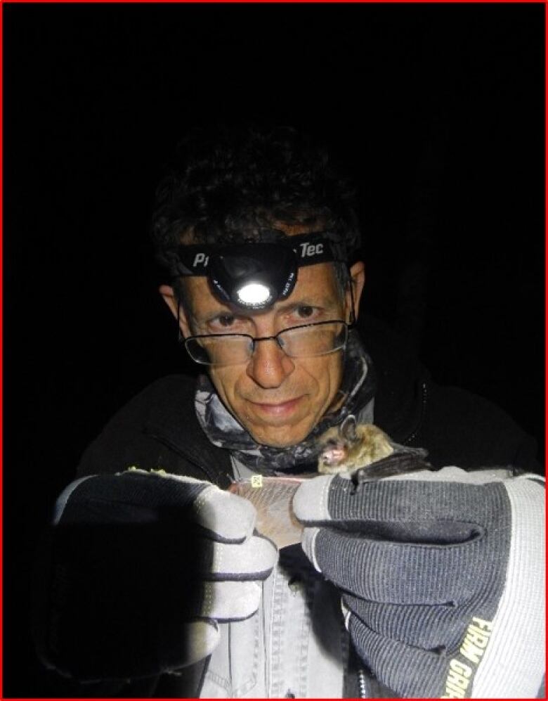 A man wearing a headlamp, glasses and gloves holds up a specimen of a moth wing or something grey with a webbed patter on it.