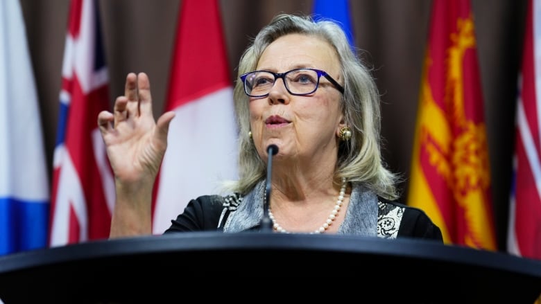 White woman standing and speaking in front of a podium with flags behind her.