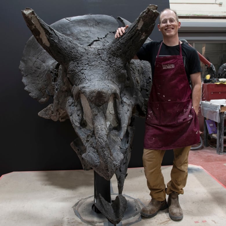 a man in a red apron stands next to a three horned dinosaur skull