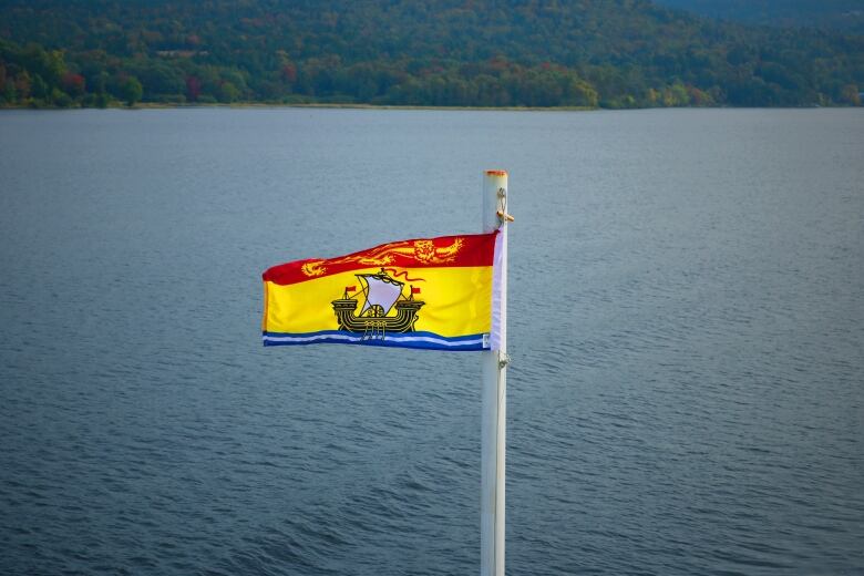 A New Brunswick flag flies in a stiff breeze over the St. John River in the early fall. 