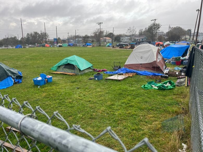 A green grass field has several tents on it. This is where some people are living. 