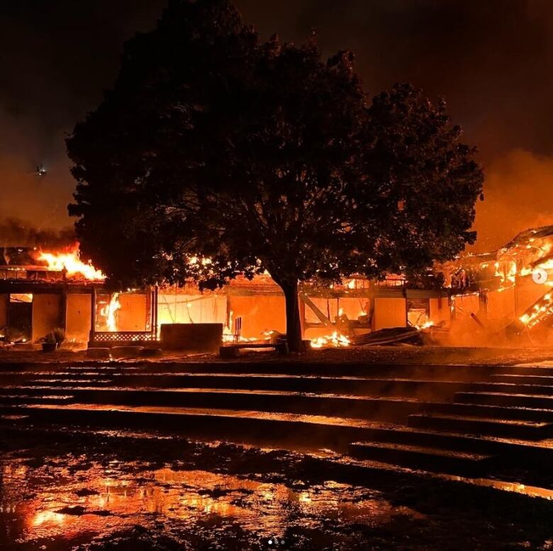 A fire at nighttime burns a large building with a tree in front of it.