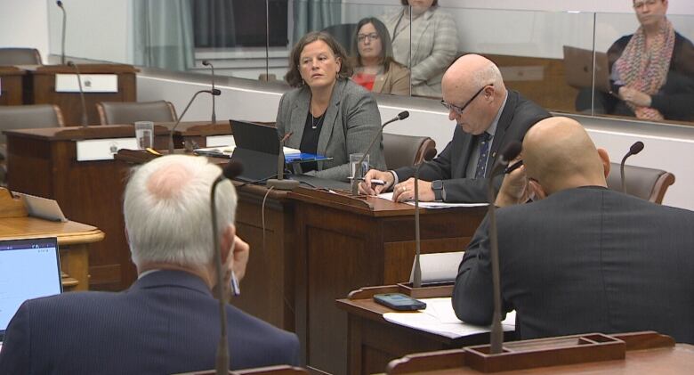 Woman and man in business clothes sit at two microphones in a wood-panelled room, with the backs of two MLAs' heads visible in front of them. 