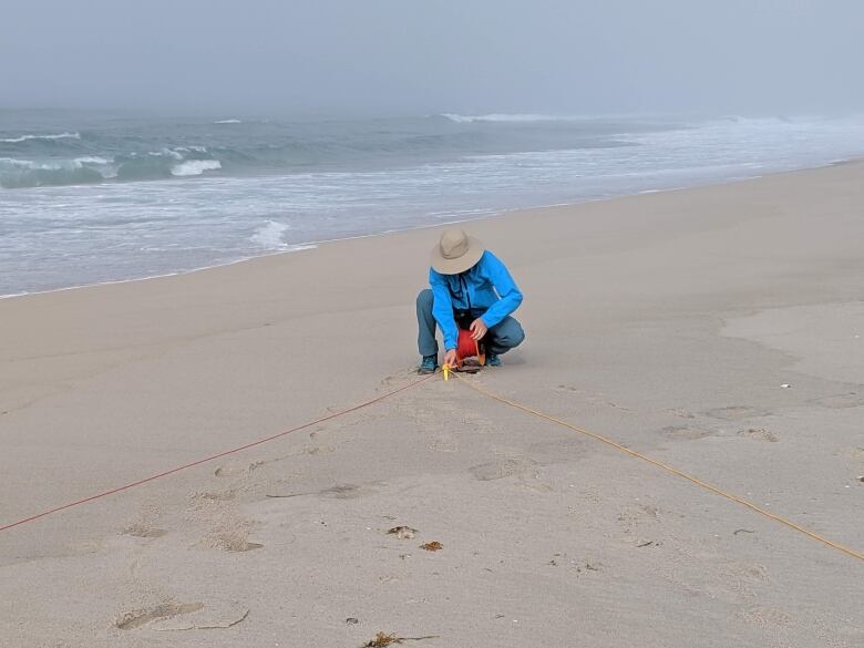 A person wearing a blue jacket crouches down on a beach with a measuring tool.