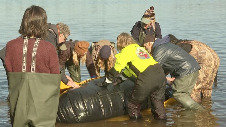 People stand in the lake as they try to roll over an inflatable pilot whale during training. 