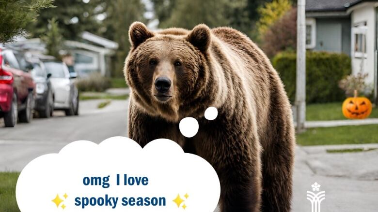 A photo of a bear with a thought bubble reading 'omg I love spooky season.'