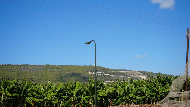 The border that separates Israel and Lebanon zigzags up a mountain.