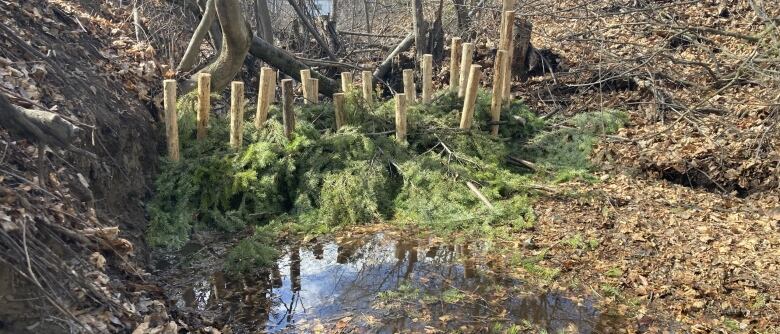 Vertical wood posts sit in a small stream, woven with green evergreen boughs.