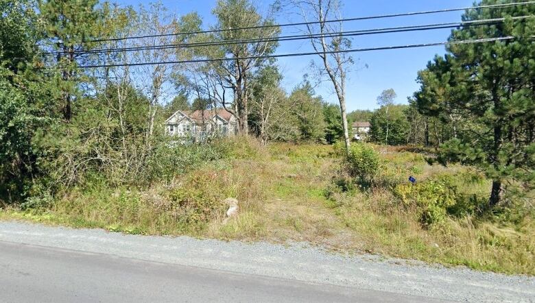 A screen of green bushes is seen between the properties, with some gaps so the home on the left could be glimpsed now and then. The lot on the left is overgrown with tall grass