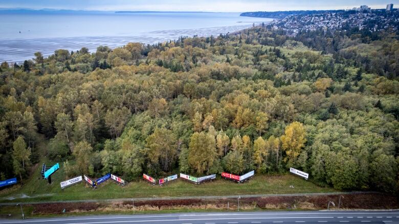 The wooded area where a biofuel project is being proposed is pictured on Semiahmoo First Nation land near Surrey, British Columbia on Wednesday, October 25, 2023. 