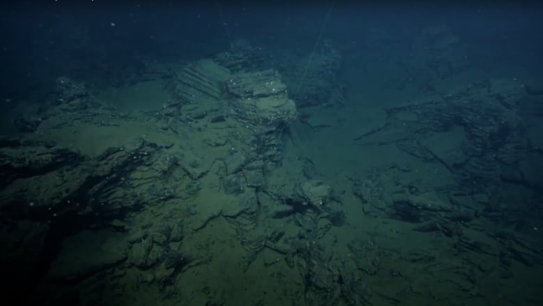 Rock formations are seen underwater.