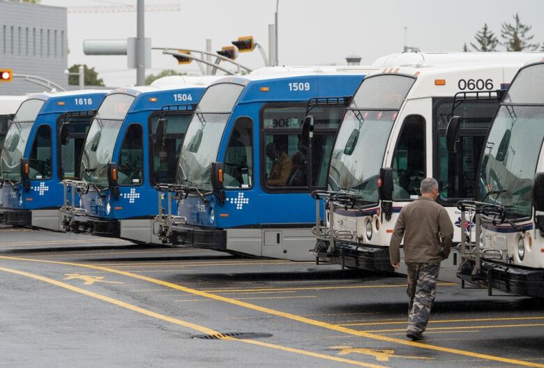 Man walks toward row of buses.