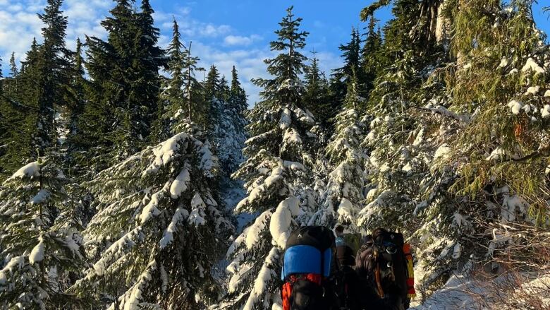 Hikers on a snowy path with trees.