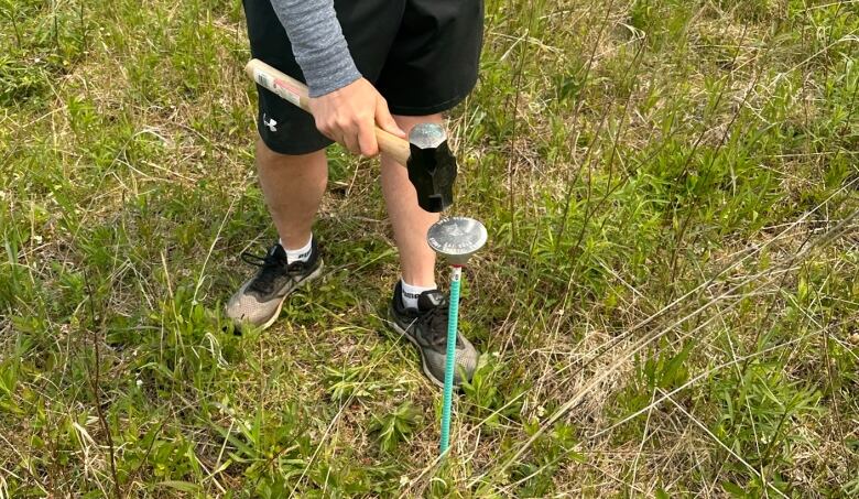 A person with a hammer putting a peg in the ground 