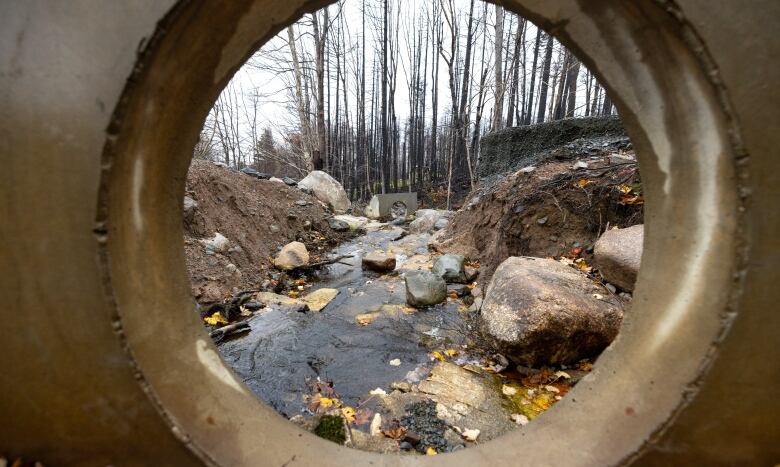 The large hole in a piece of concrete frames the scene like a porthole. Through the hole another piece of concrete, a brook, leaves and rocks are strewn through the crack in the driveway