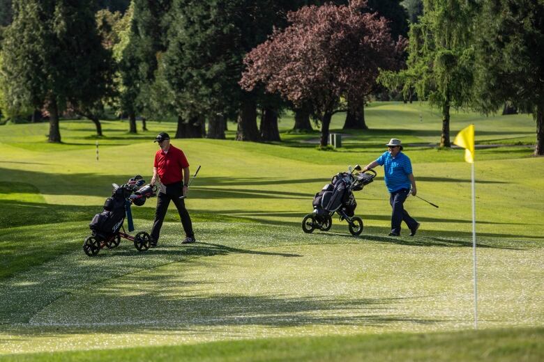 Two men push golf bags around a golf hole.