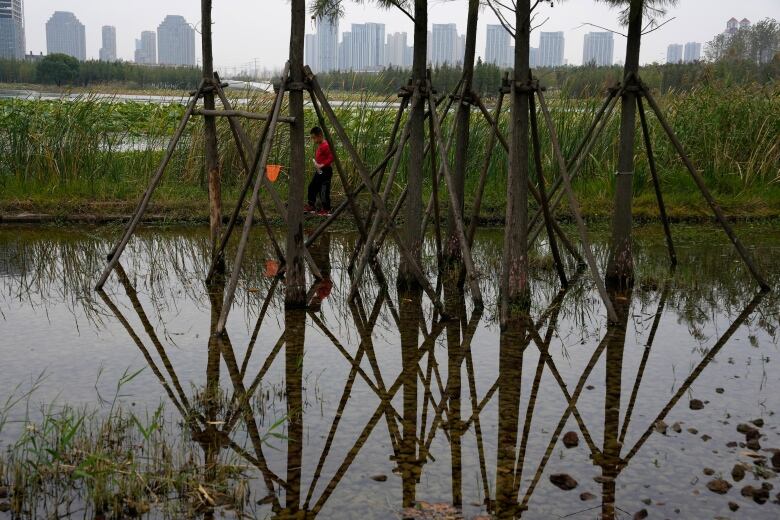 A child looks for fish with a net as he walks near a pond and water plants at the 