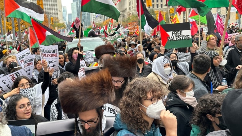 Protesters hold flags and signs at a rally.