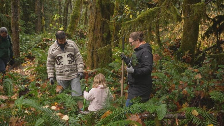 A man, a woman and a young child walk through a wooded area. 