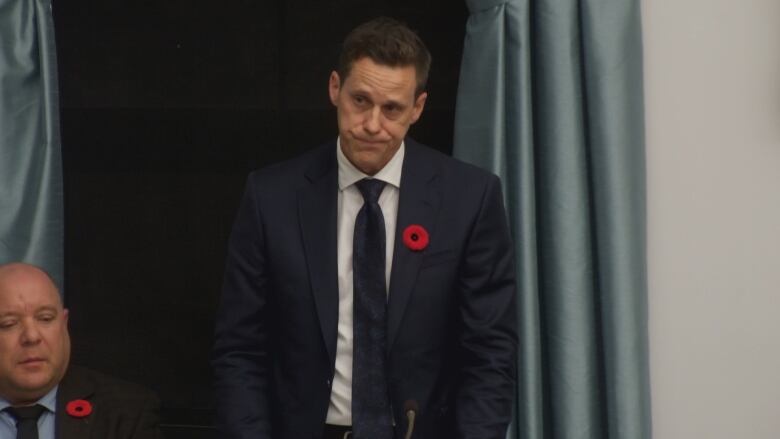 A man in a dark suit and tie stands, taking questions from politicians. 