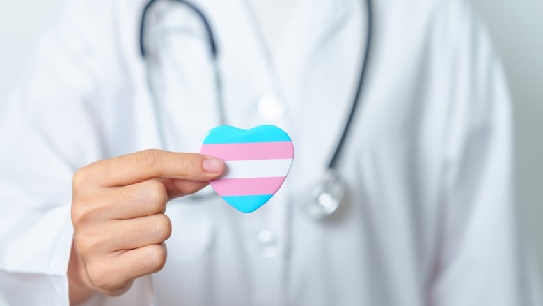 Stock image of a person wearing a lab coat and stethoscope, pictured from the shoulders down, holding out a small plastic heart with light blue, pink and white stripes  the colours of the transgender pride flag. 