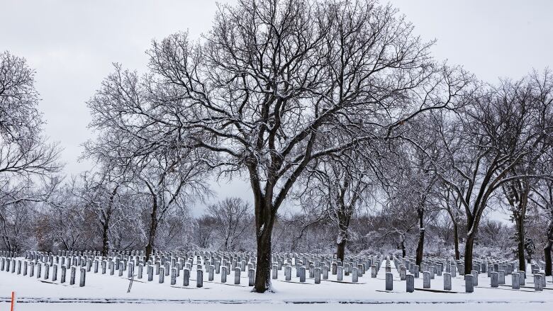 A winter scene in a cemetery showing leafless trees standing among gravestones.