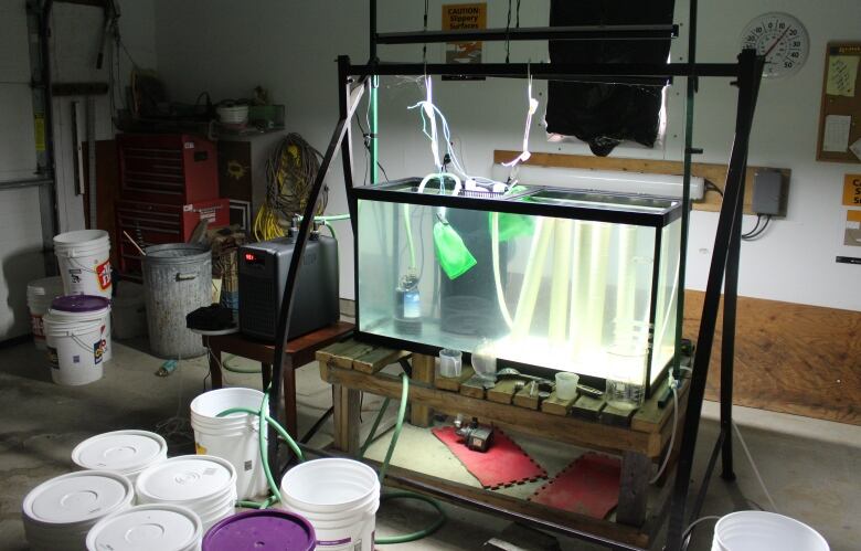 An illuminated fish tank sits in a garage surrounded by plastic buckets and hoses.