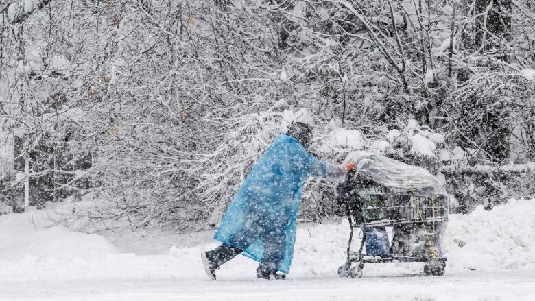 A person pushes a shopping cart outside in a heavy snowfall.