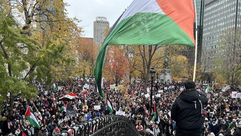 A man holds up a flag in front of a crowd.