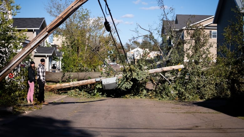 A tree on a downed powerline in the middle of a street in Charlottetown.