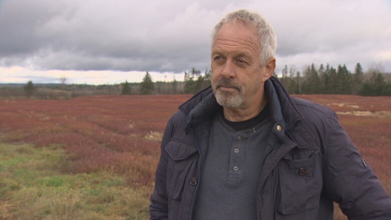 A man in a blue jacket stands in front of a blueberry field.