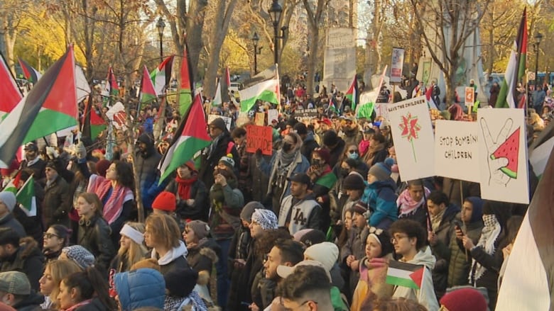 a large group of protesters with Palestinian flags