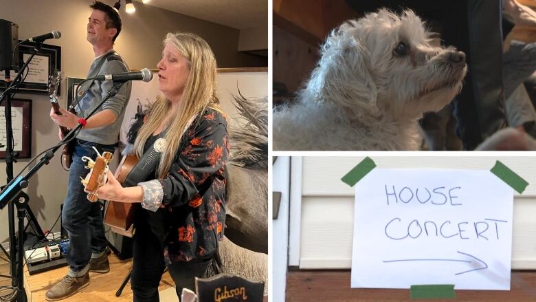 a collage of three images shows a white dog, a handwritten sign, and two people playing guitars